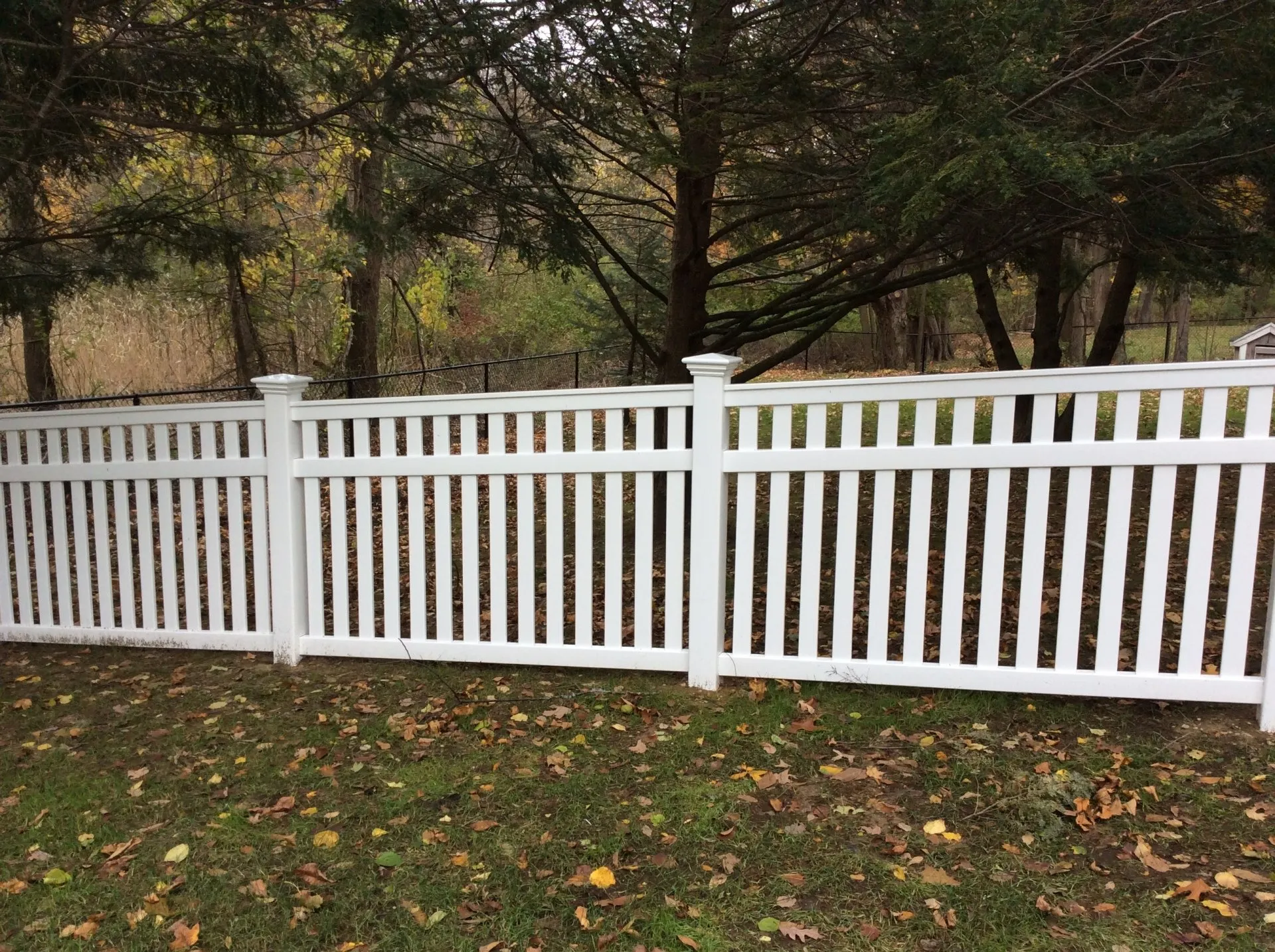 Vineyard photo gallery