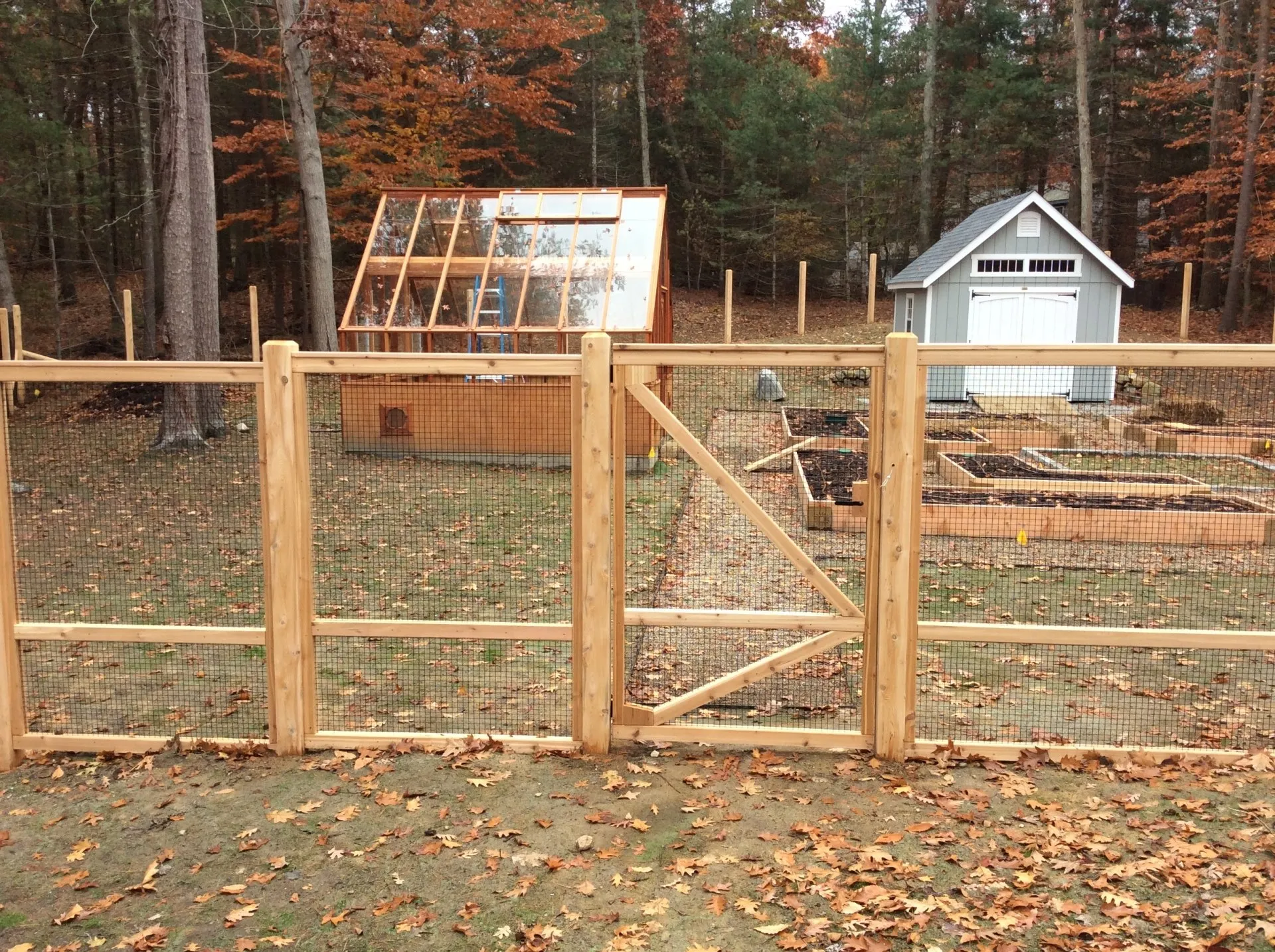 Wood Frame + Wire photo gallery