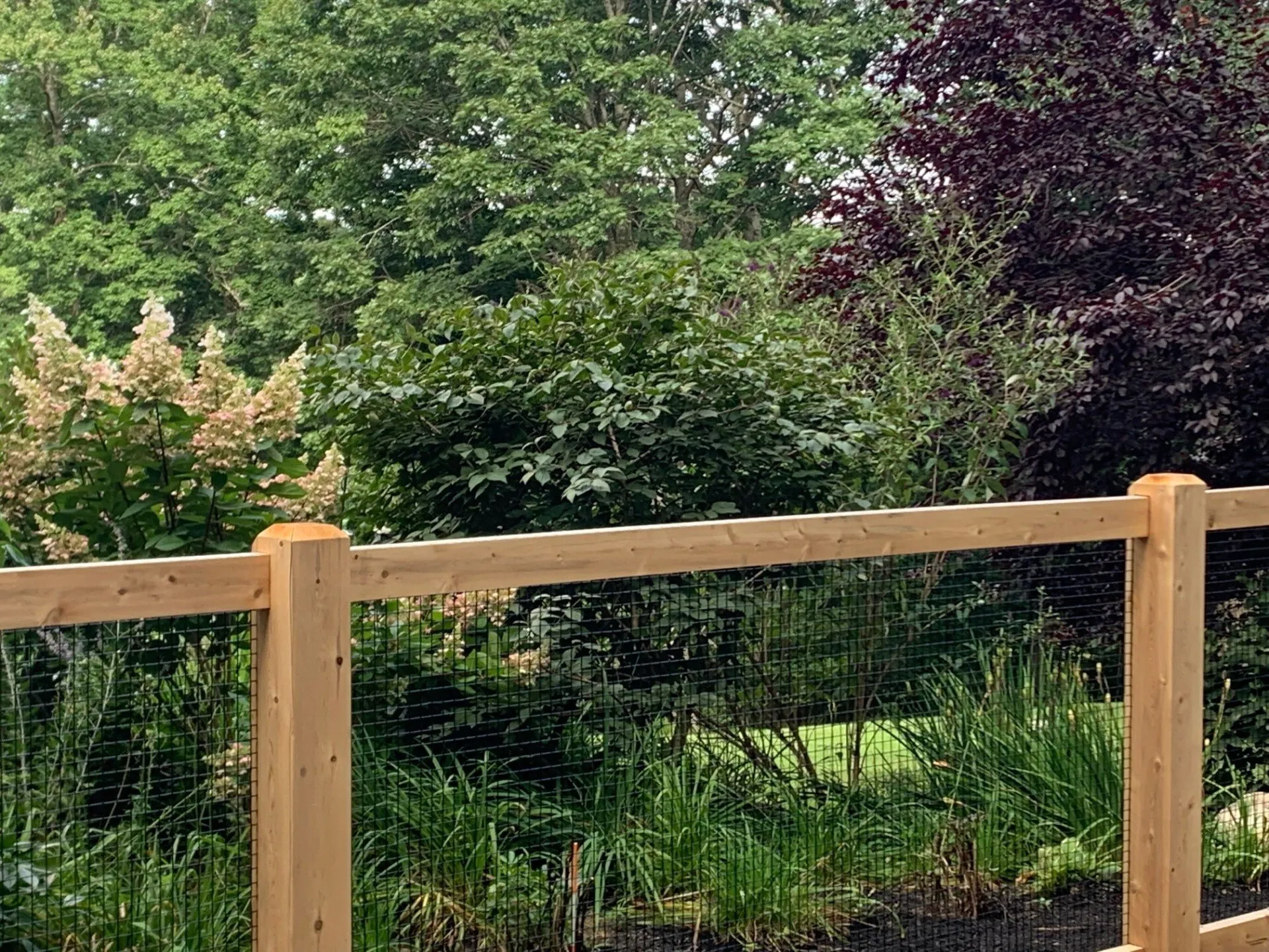 Wood Frame + Wire photo gallery