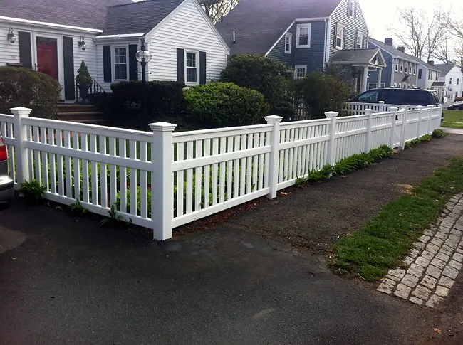 Vineyard photo gallery