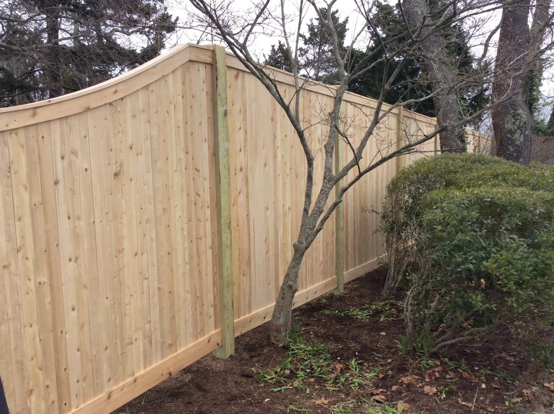 Board Privacy photo gallery