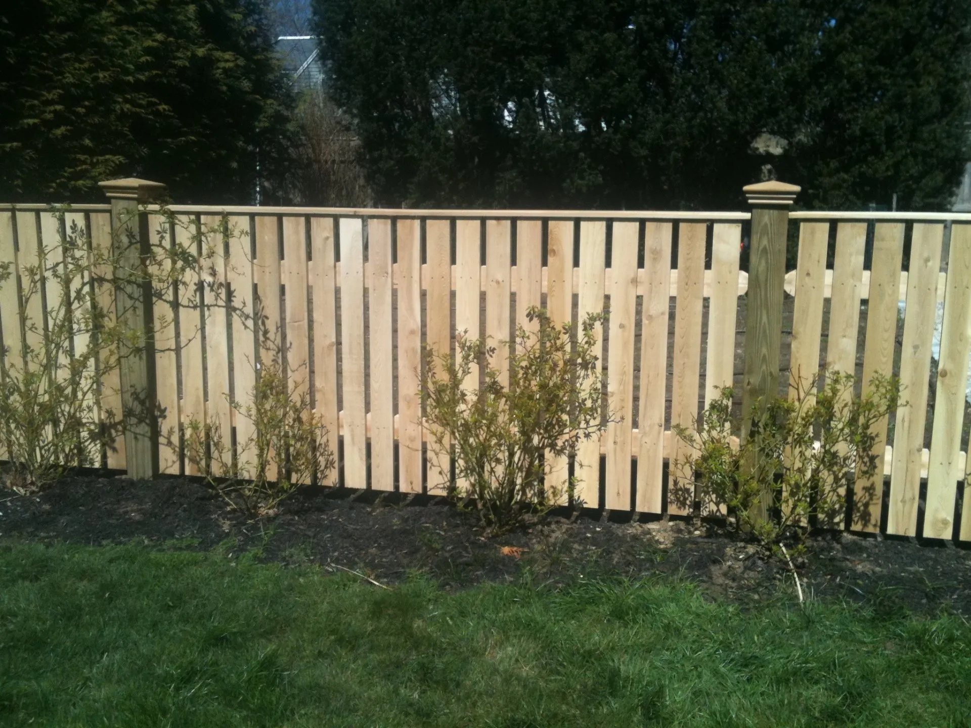 Spaced Board photo gallery