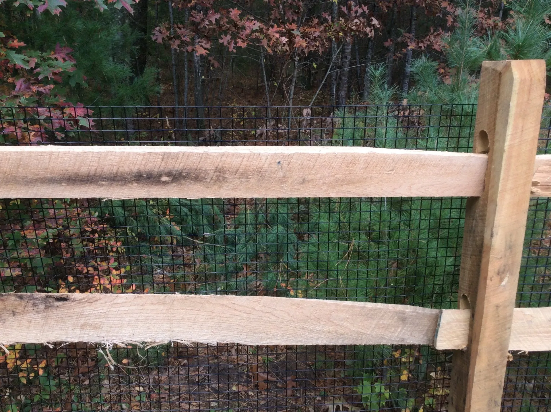 Rail + Wire photo gallery