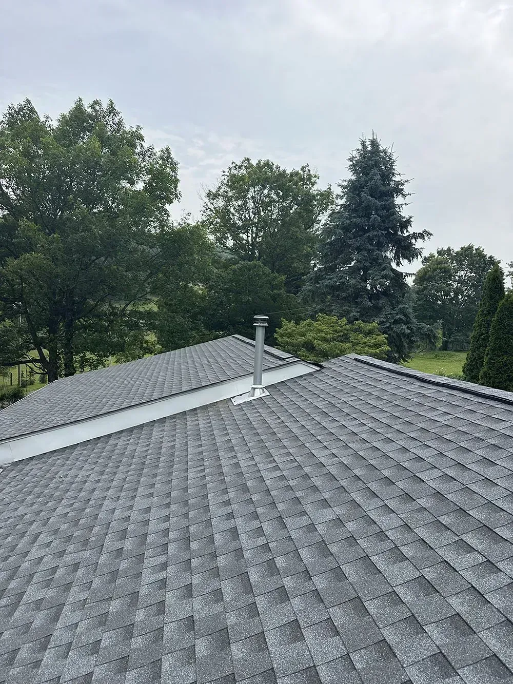 Gray asphalt shingle roof with two metal chimneys; trees in background under cloudy sky.
