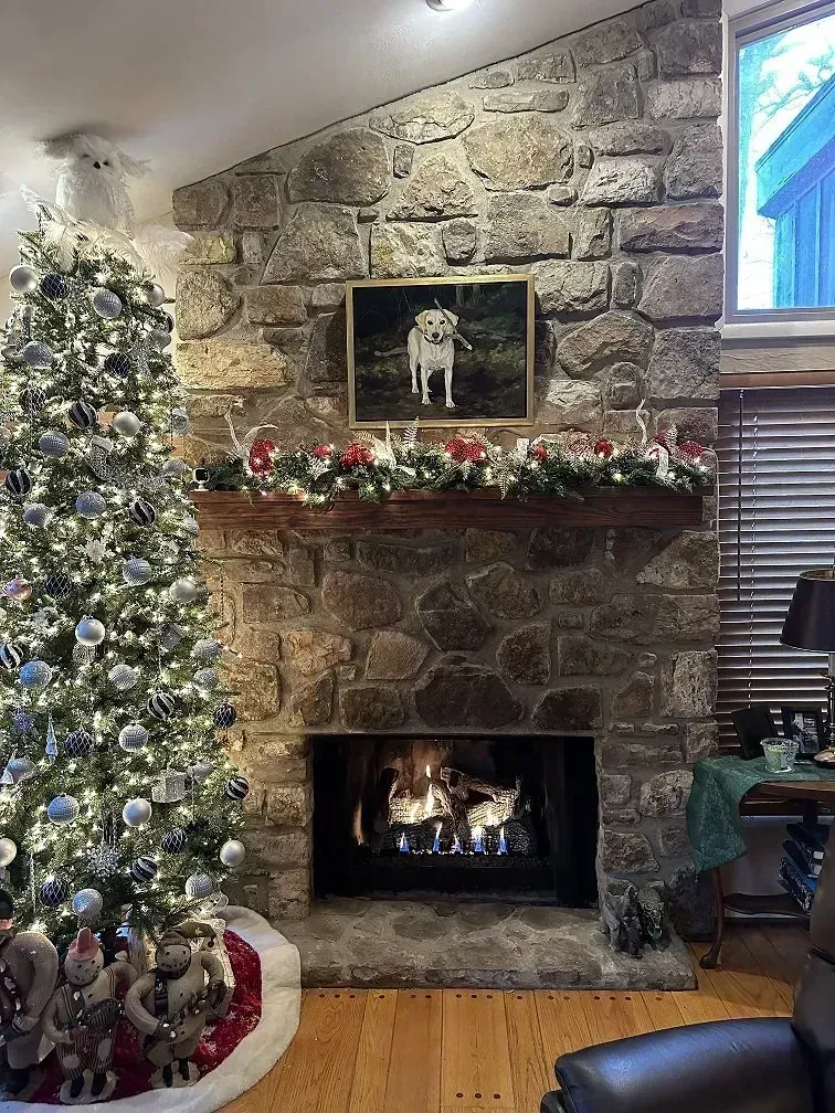 Christmas tree and lit fireplace in a stone-walled room, decorated with garland and a photo of a dog above the mantle.