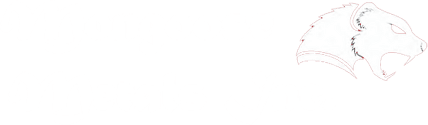 Mongoose Metals Inc. logo