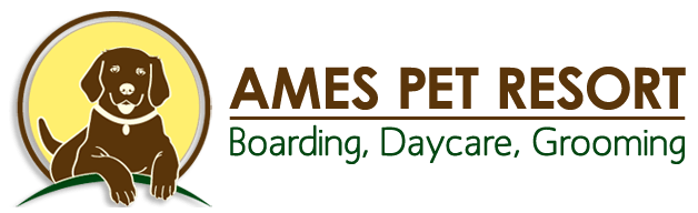 Reviews | Ames Pet Resort