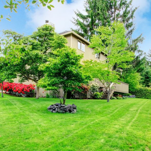 House with green lawn, trees, and red flowers.