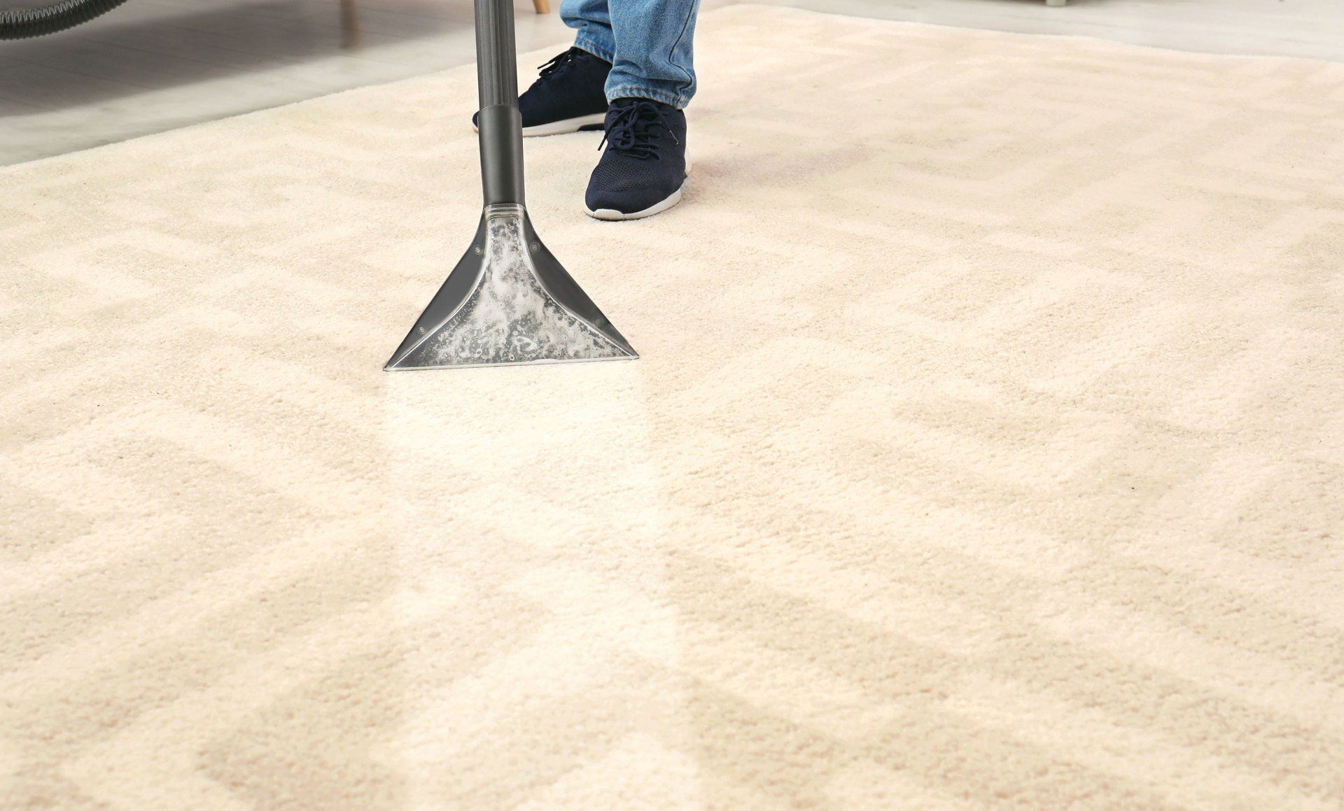 carpet cleaning