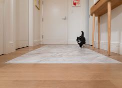 Small black dog running down a hallway with a light rug and wooden table.
