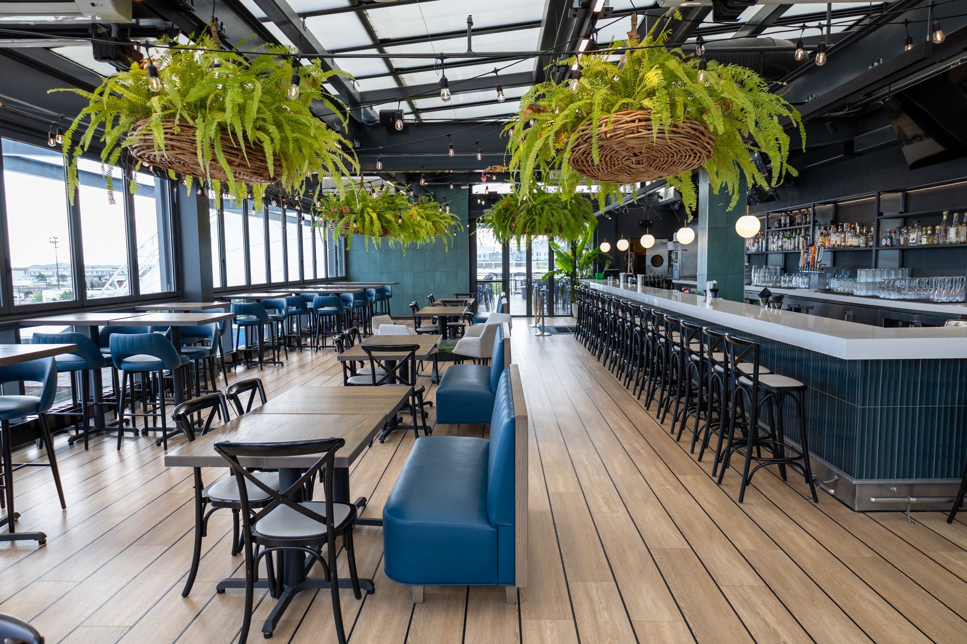 Modern restaurant interior with blue seating, hanging plants, and a long bar under large windows