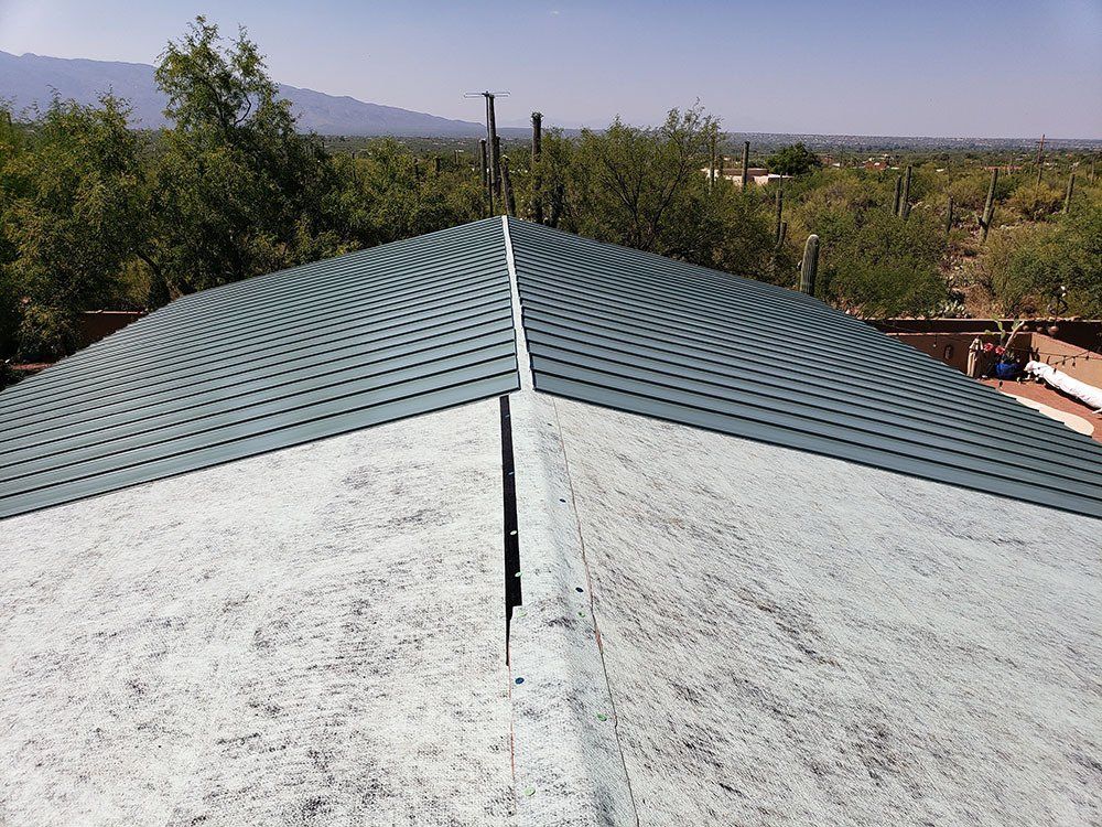 Professional roofing services