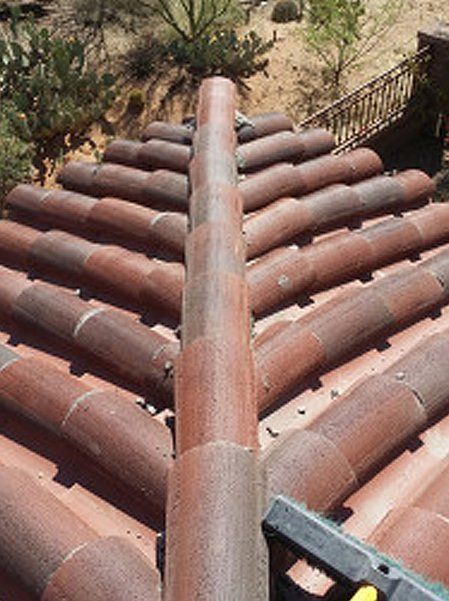 Tile roof and desert plant below