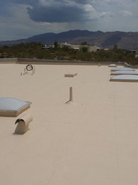 Commercial flat roofs and mountain view