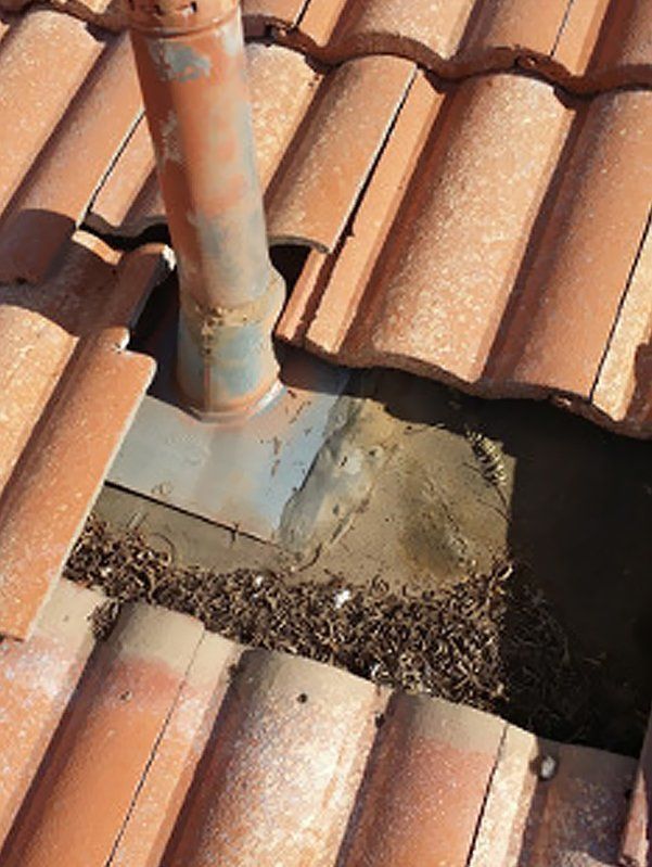 Residential tile roof and dust