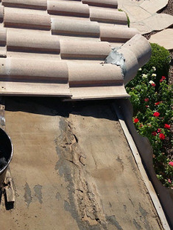 Tile roof and plants below