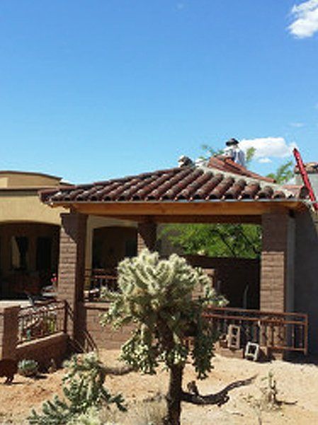 Residential house with small tree