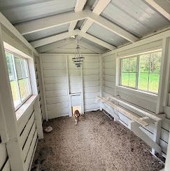 Long, narrow white-painted sunroom with windows, gravel floor, and a small dog near the far wall.
