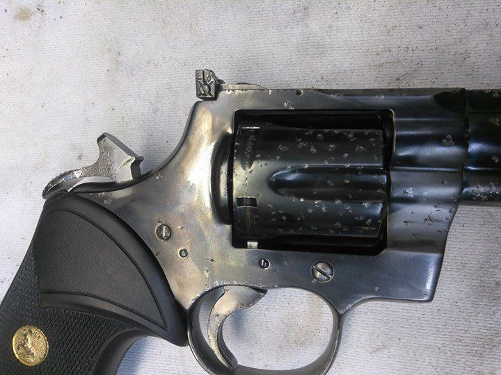 Python Hunter BEFORE