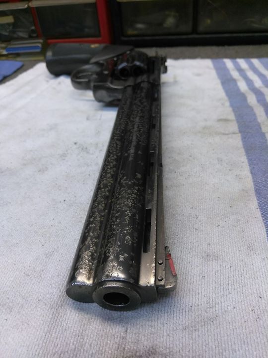 Python Hunter BEFORE