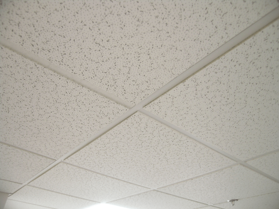Commercial Ceiling Services