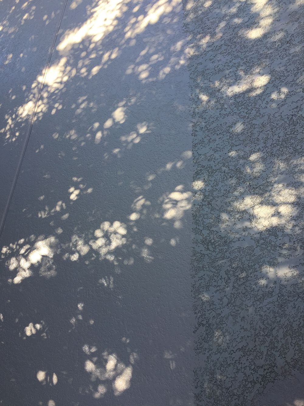 Exterior painting services