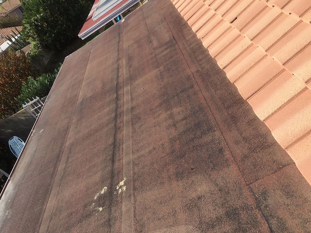 Before roof coating services