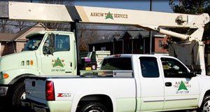 Arrow Tree Service trucks