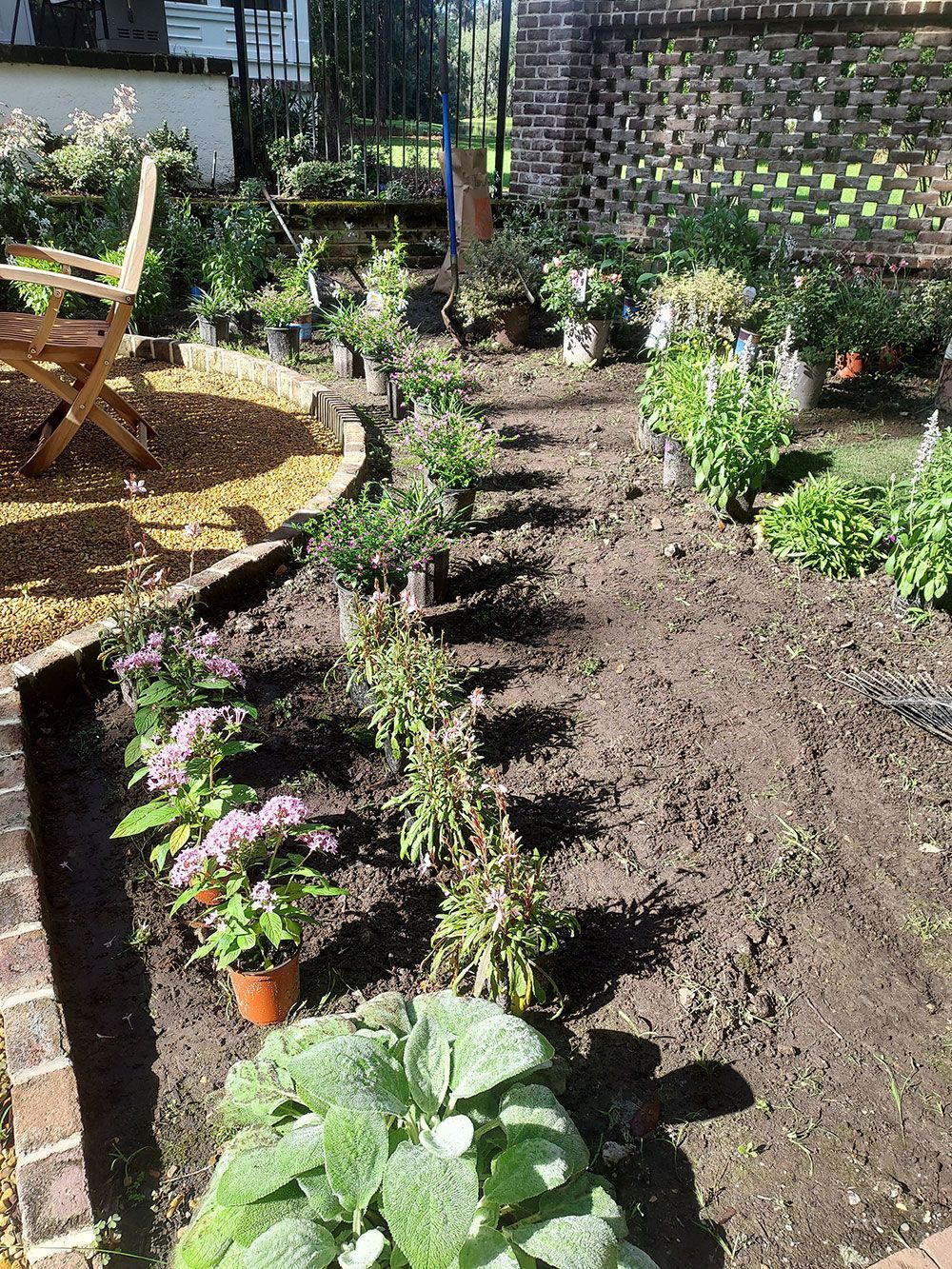 A garden filled with lots of potted plants and flowers.