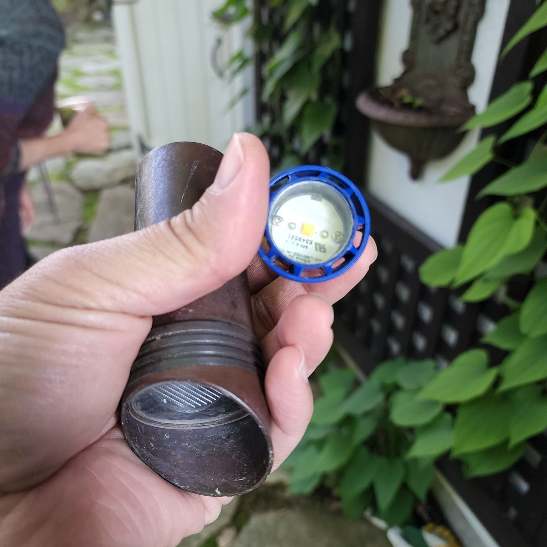 Hand holding a black flashlight beside a small blue LED module in a leafy outdoor setting