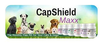 CapShield Maxx