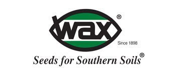Wax Seed for Southern Soils