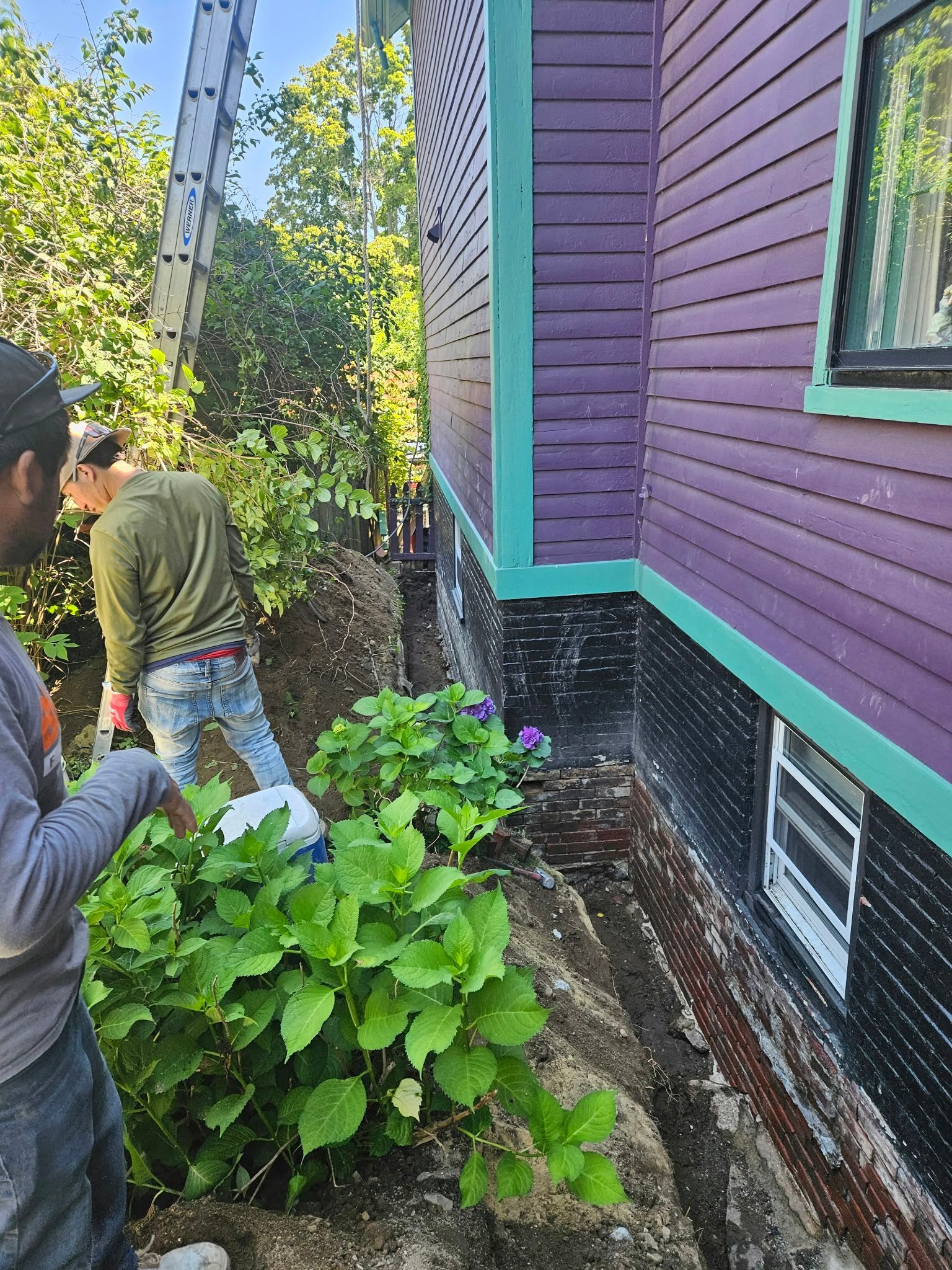 Two people working beside a purple house, with one spraying water near green plants.