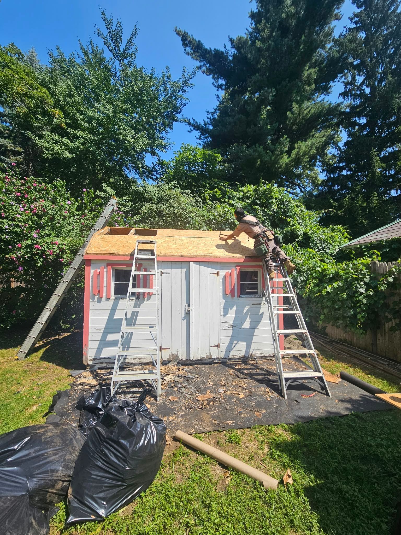 Backyard shed under construction with ladders, roof sheathing, and construction debris on the ground