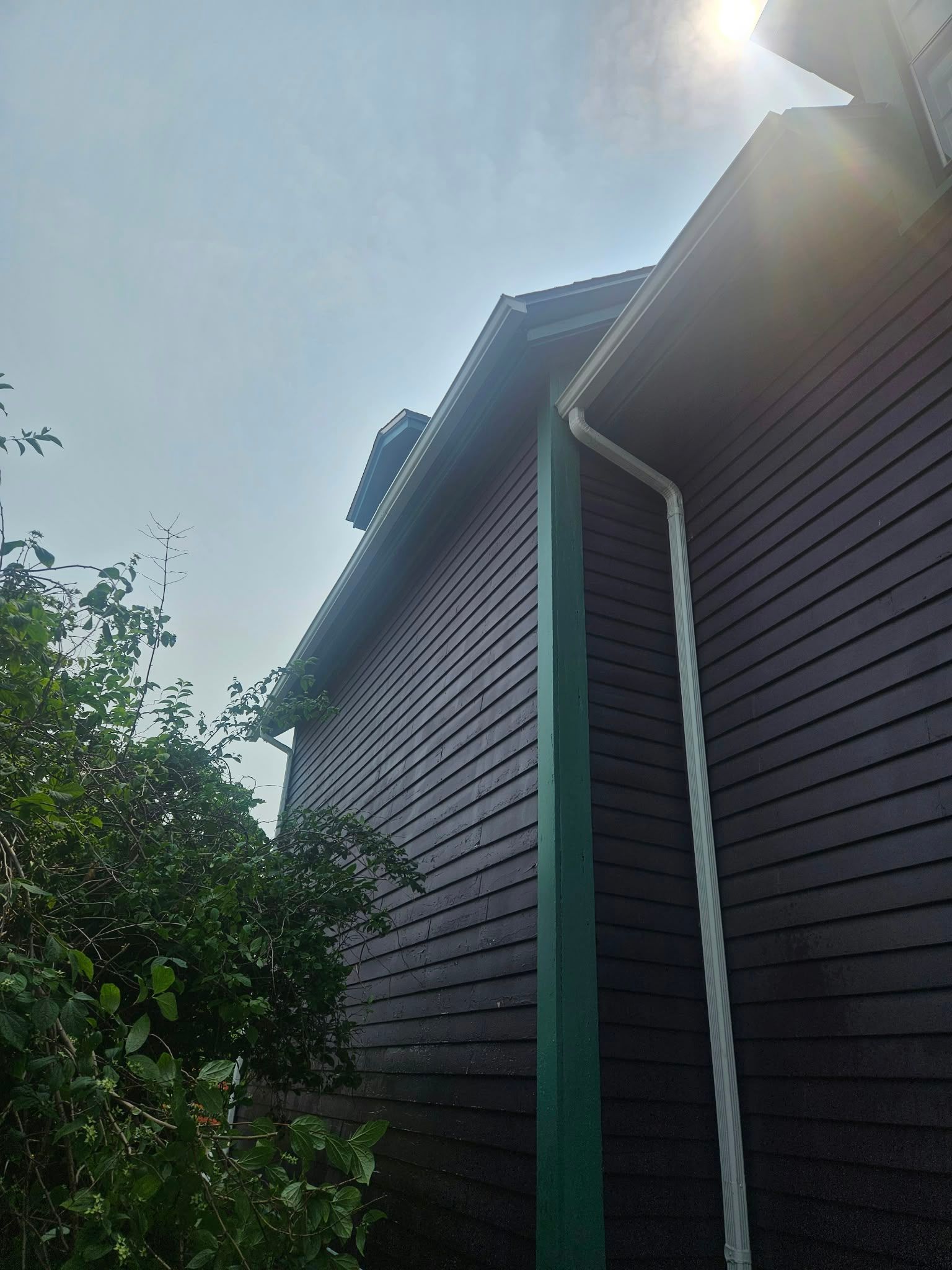 Side of a dark wooden house with green trim, sun glare in the sky, and trees beside it