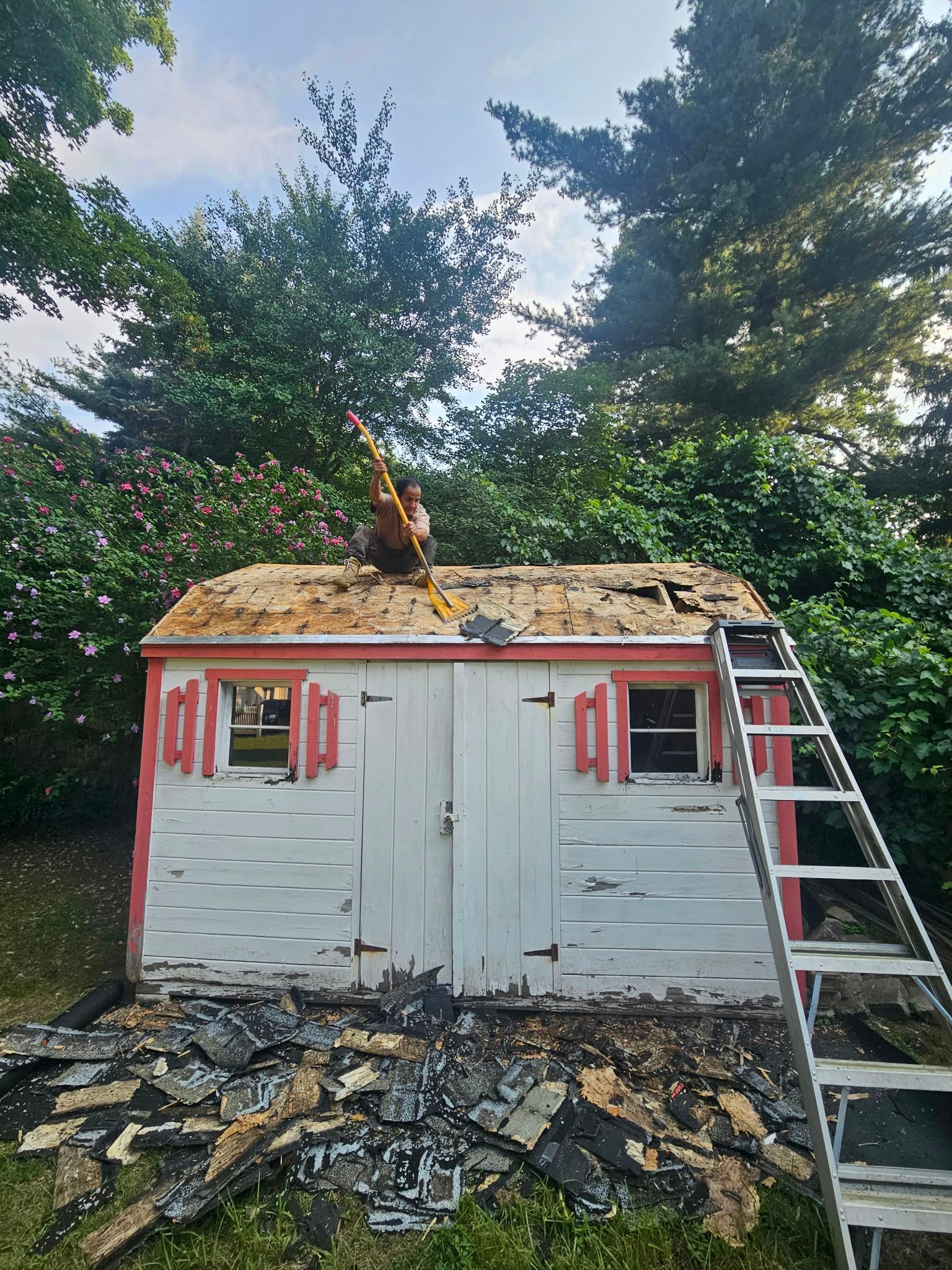 Person on a ladder repairing the roof of a small white shed with red shutters, surrounded by trees.