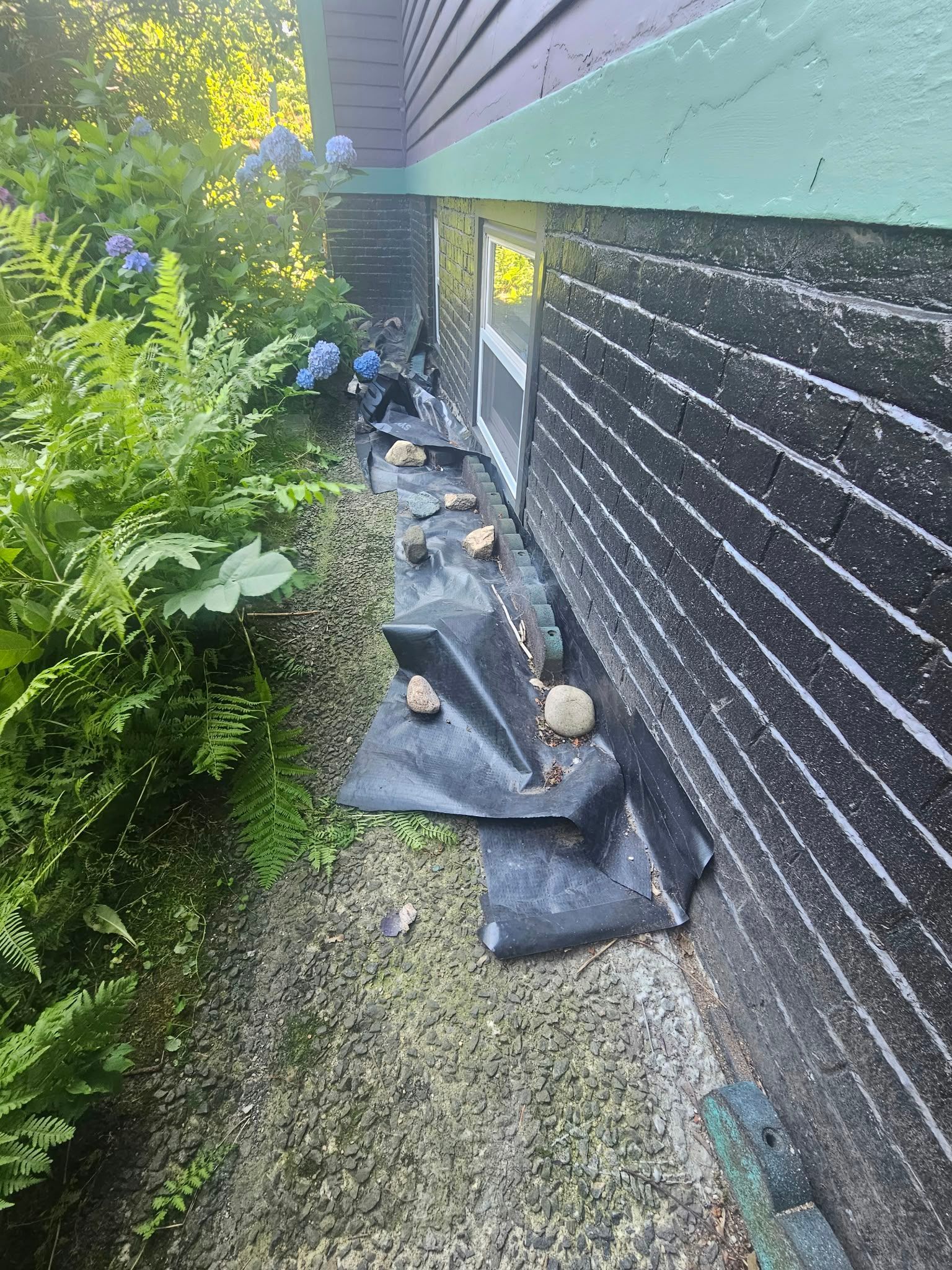Narrow side yard with black siding, gravel, plants, and a tarp covering debris along the house wall.