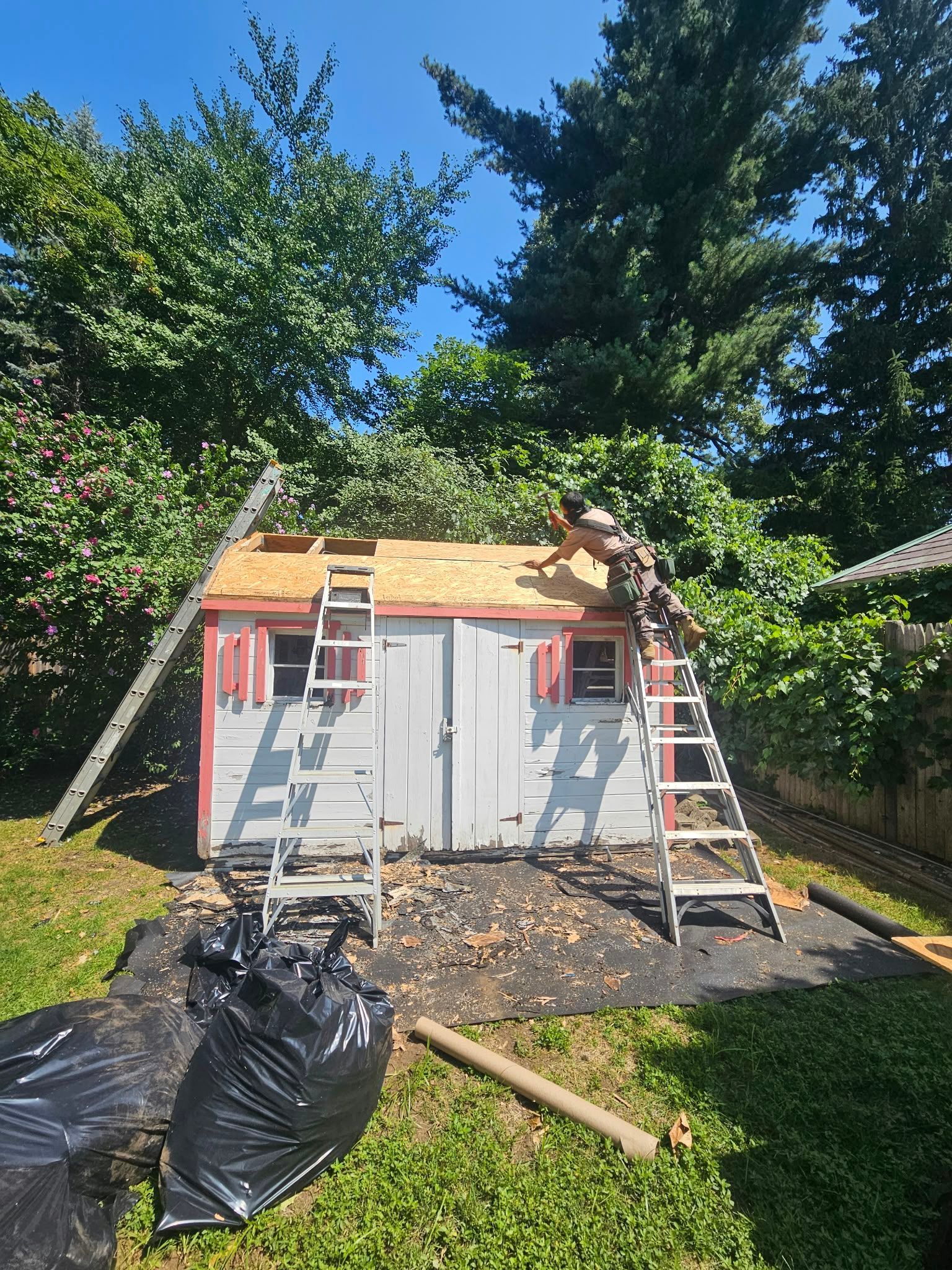 Small shed under repair with ladders, roof boards, and construction materials in a backyard