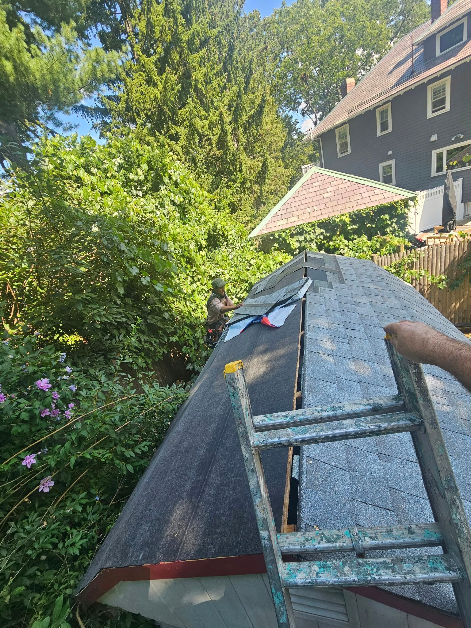 View from a roof beside a leafy yard and house, with tools and a ladder in the foreground