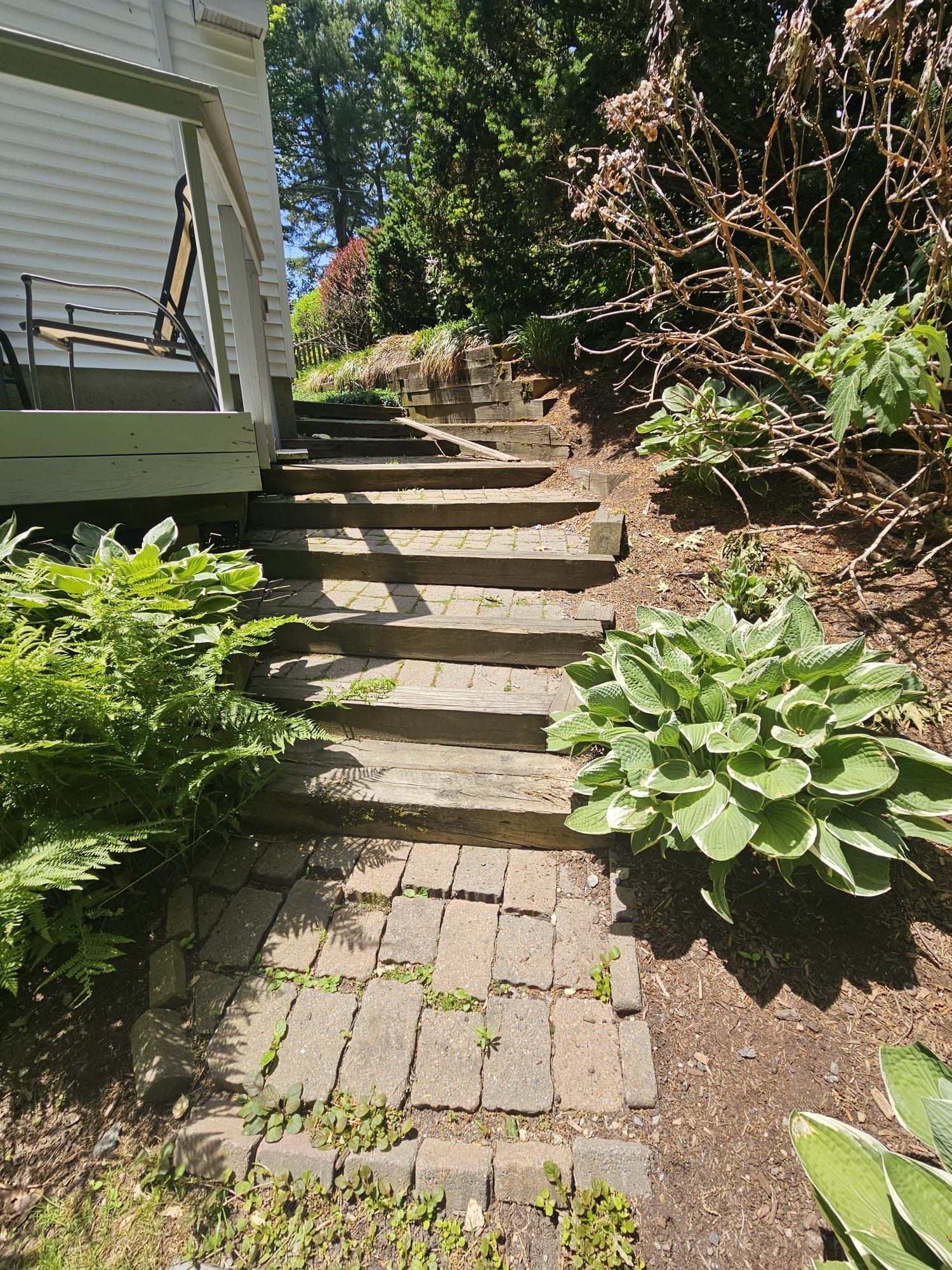 Brick path and stone steps leading uphill beside a white house, framed by green plants and shrubs.