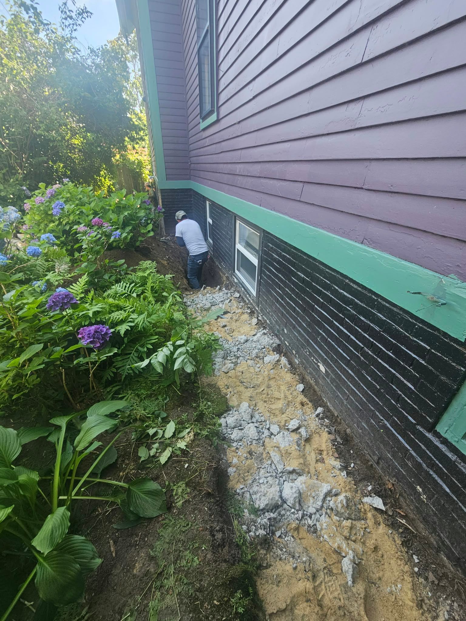 Person working beside purple house with green trim, near a basement window and garden plants.