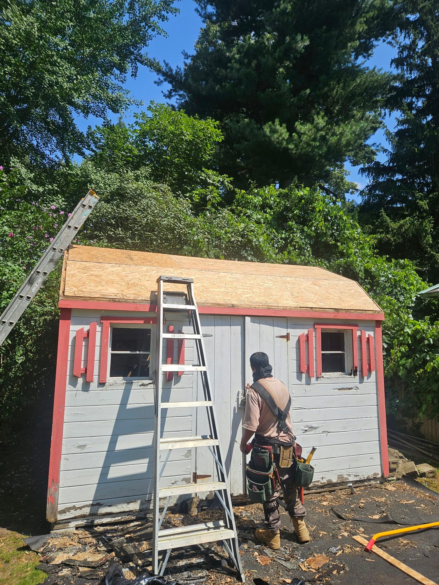 Person on ladder painting gray shed with red shutters and a tan roof in a backyard.