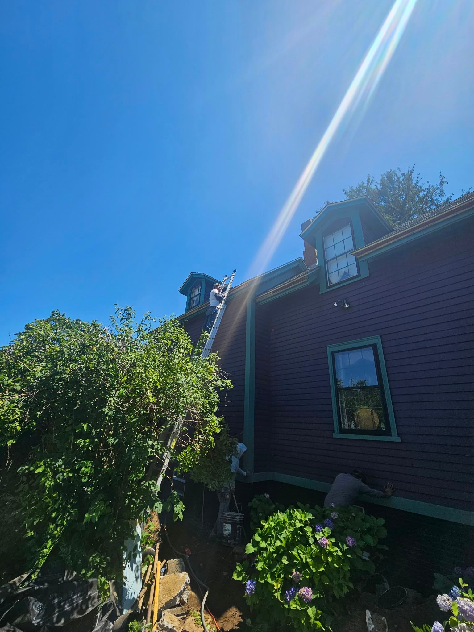 Sunlit brick house with a bright blue sky, leafy tree, and strong diagonal lens flare