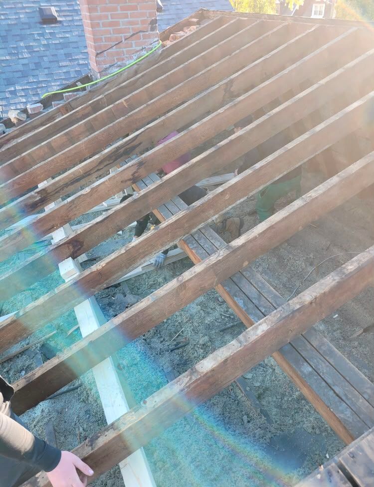 Exposed wooden roof rafters on a building under construction, with sunlight and lens flare.
