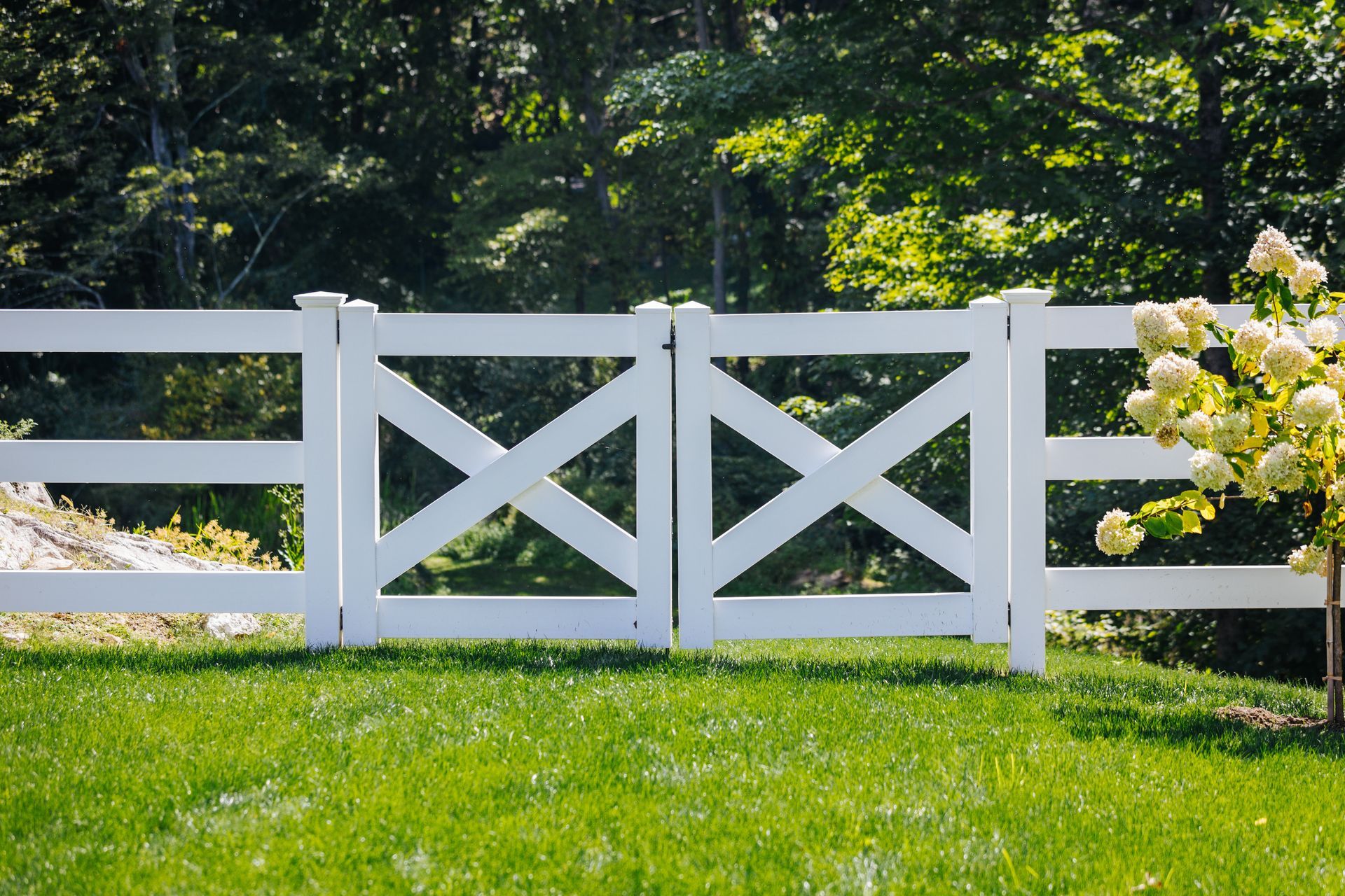 A white fence is surrounded by green grass and trees