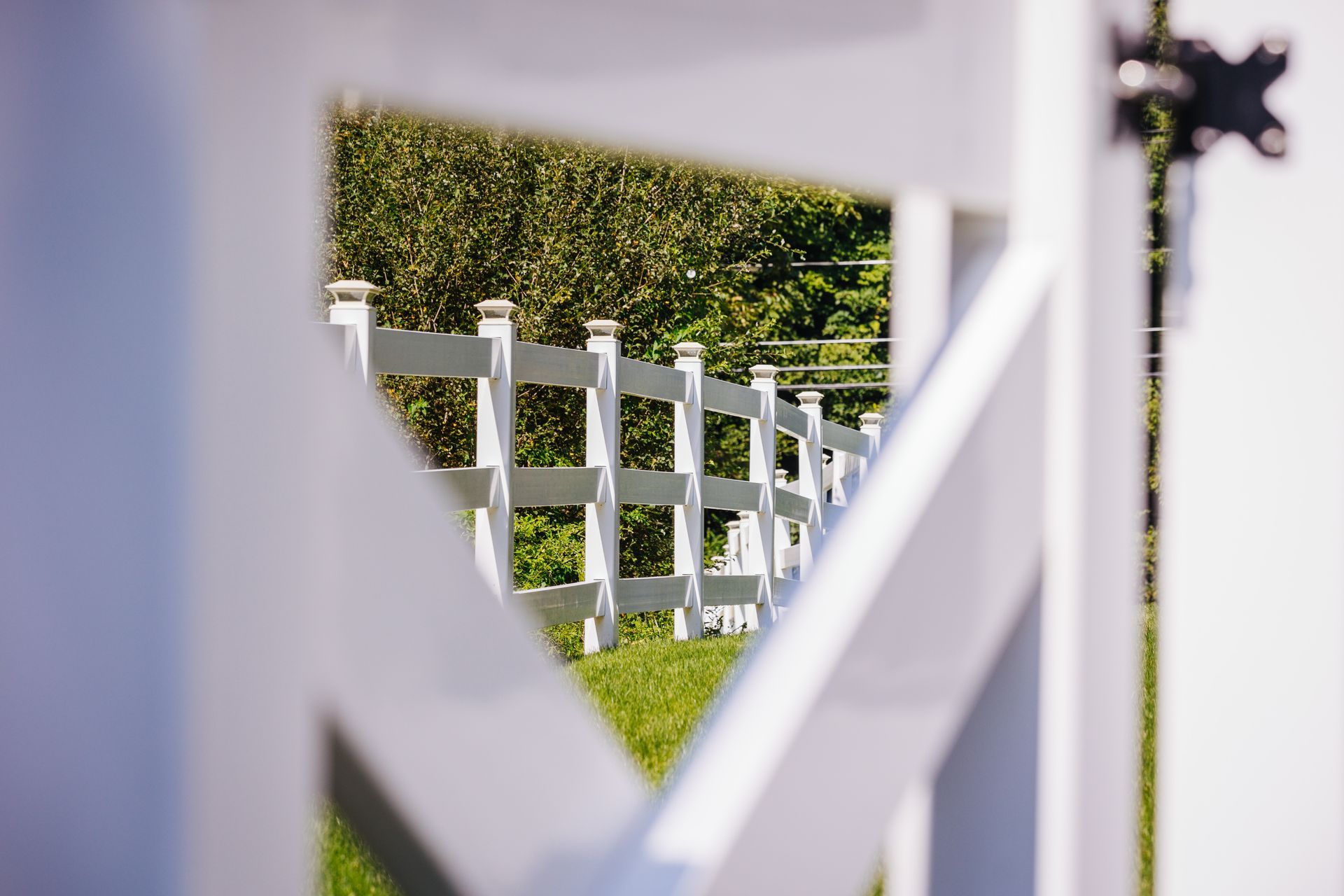 A white fence surrounds a grassy field with trees in the background