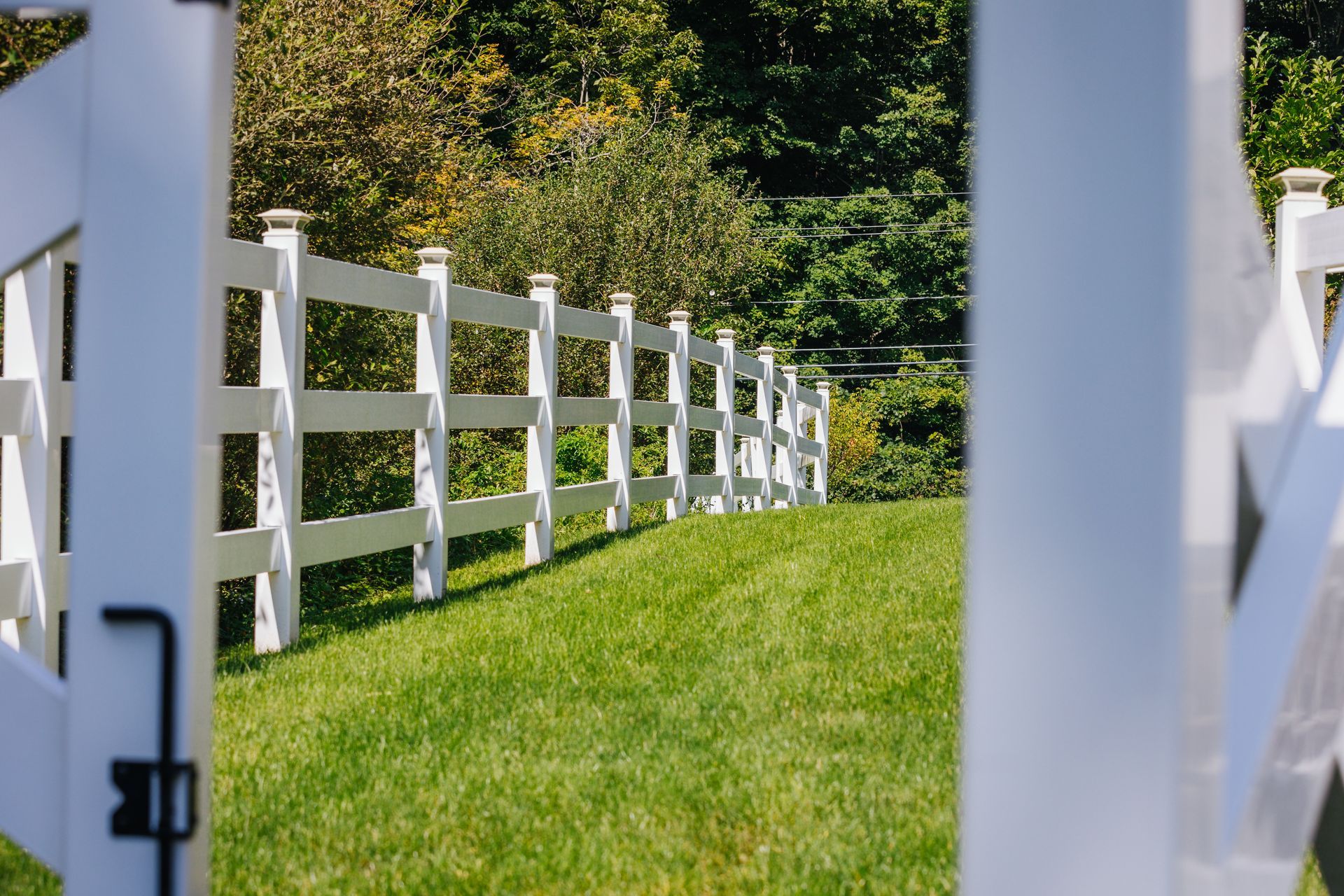 A white fence surrounds a grassy field with trees in the background.