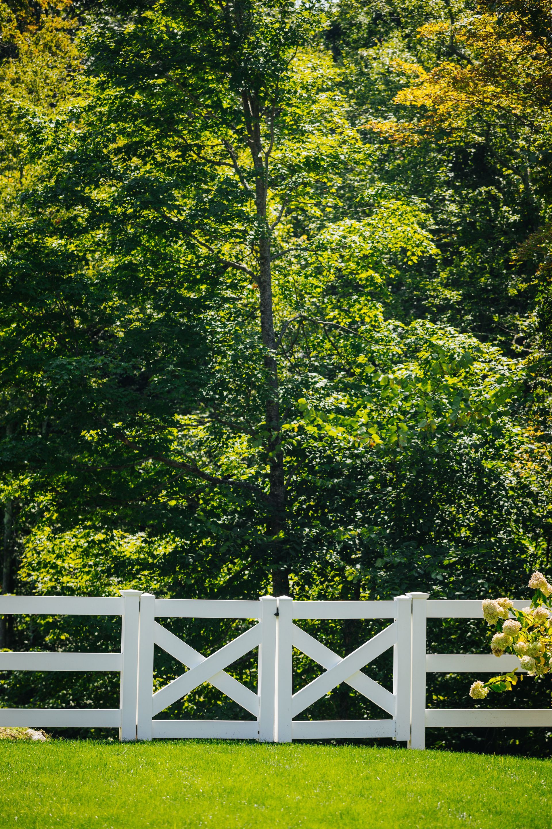 A white fence is in the middle of a lush green field with trees in the background.