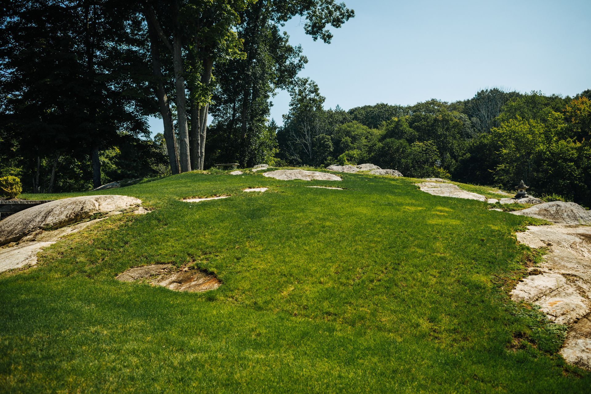 A lush green field with trees and rocks in the background