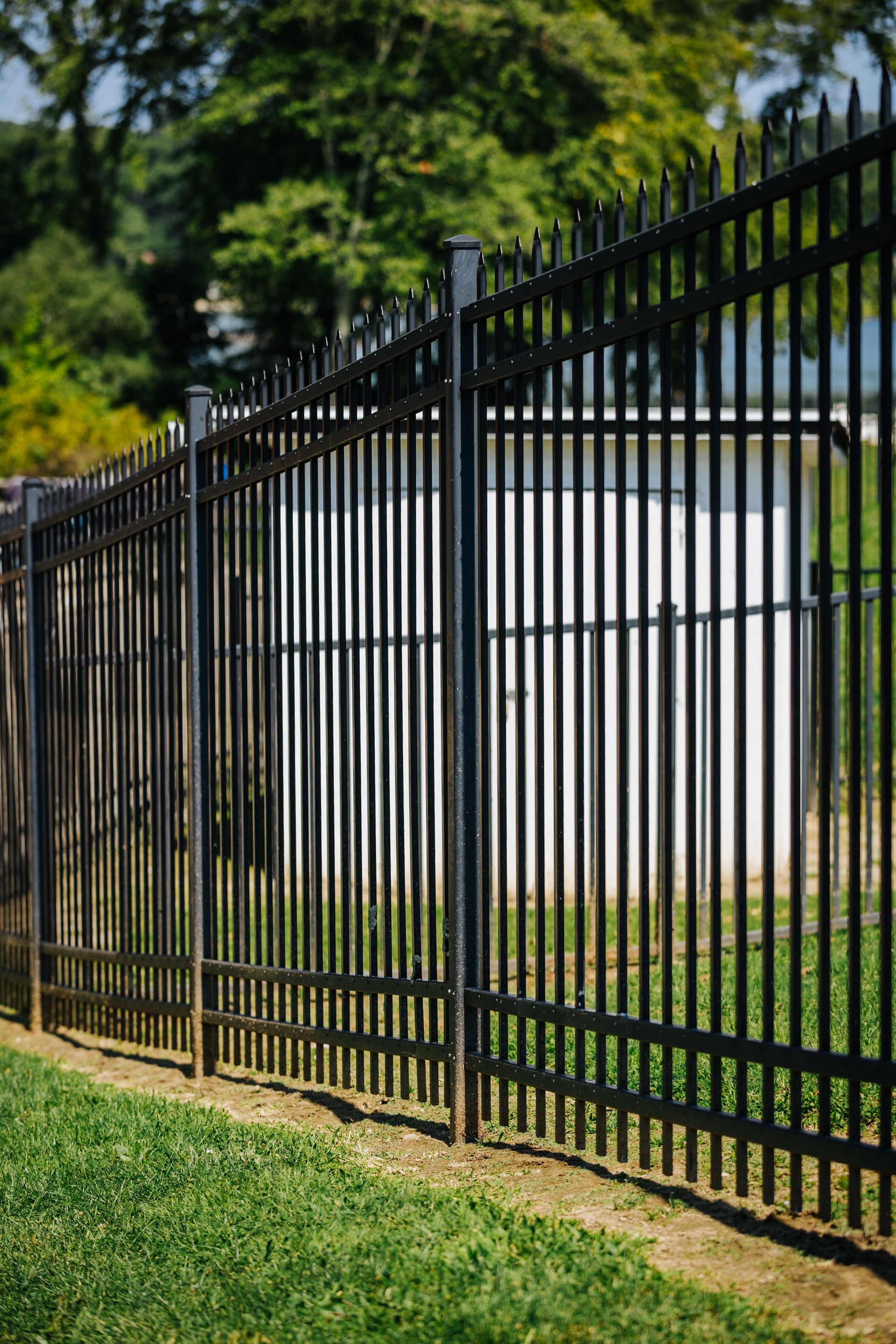 A black metal fence surrounds a lush green field.